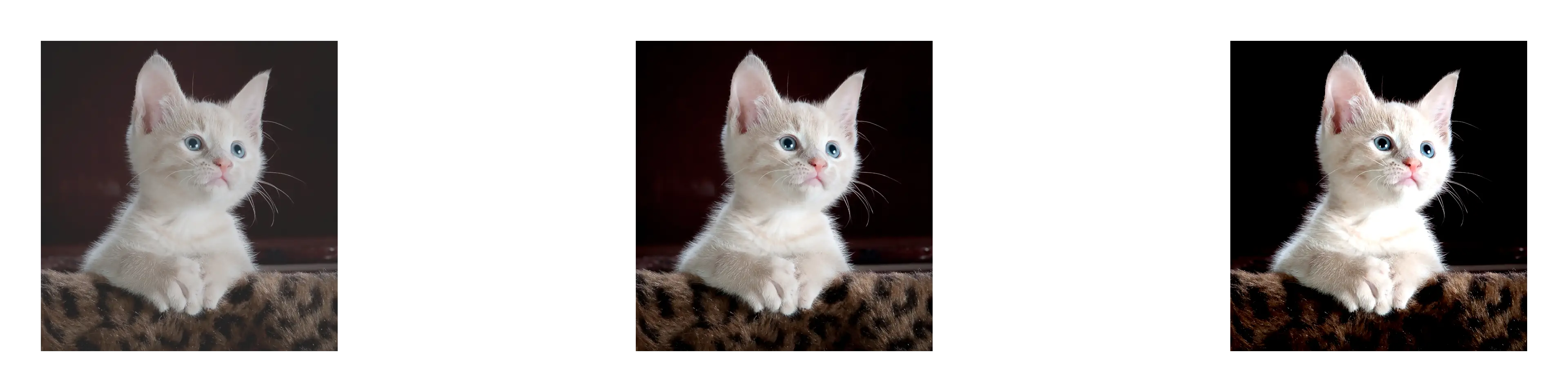 Adjust Contrast Example Image of Contrast Tool