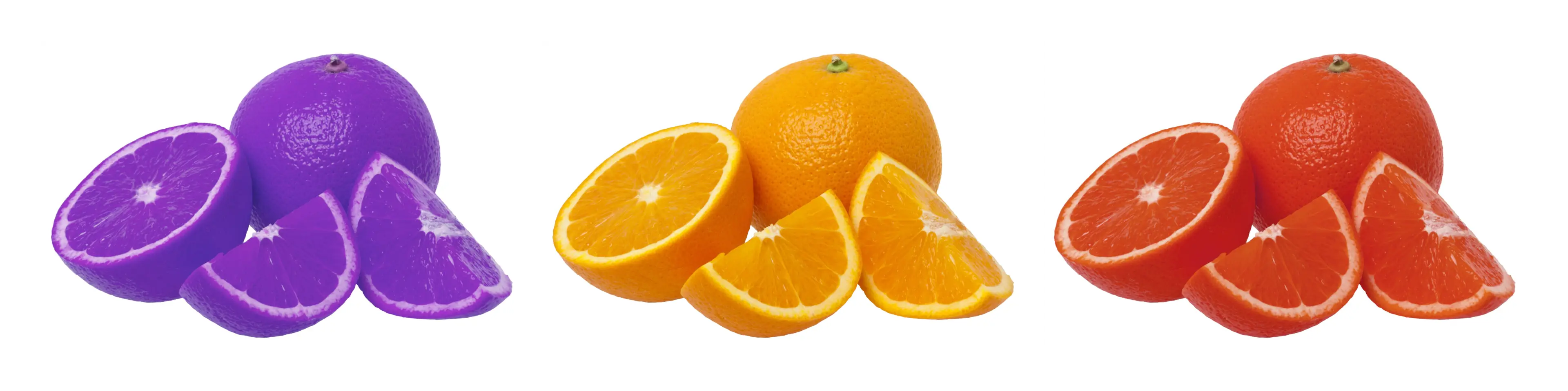 Hue Filter Example Image of Hue Filter Tool