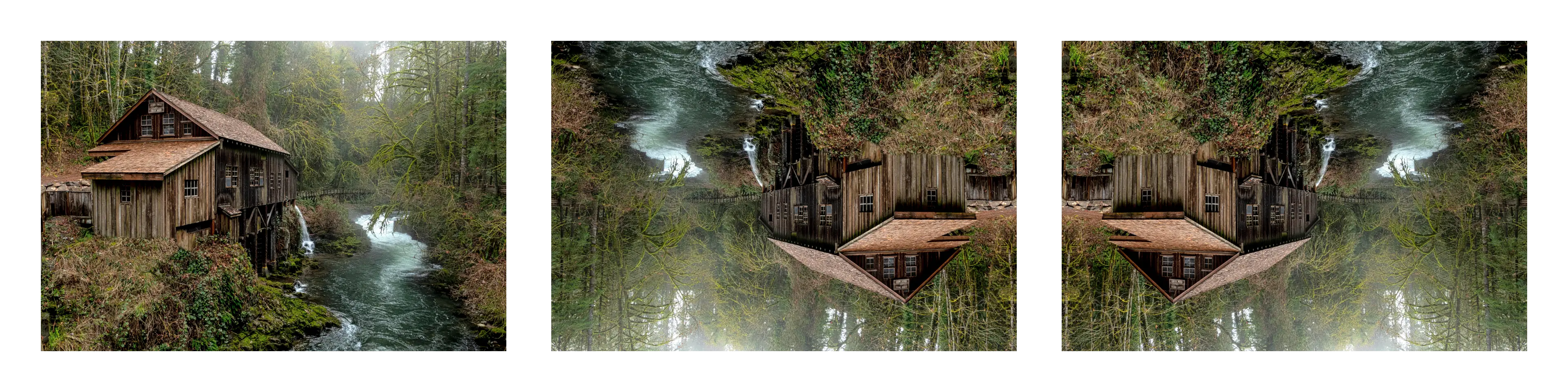 Mirror Filter Example Image of Mirror Filter Tool