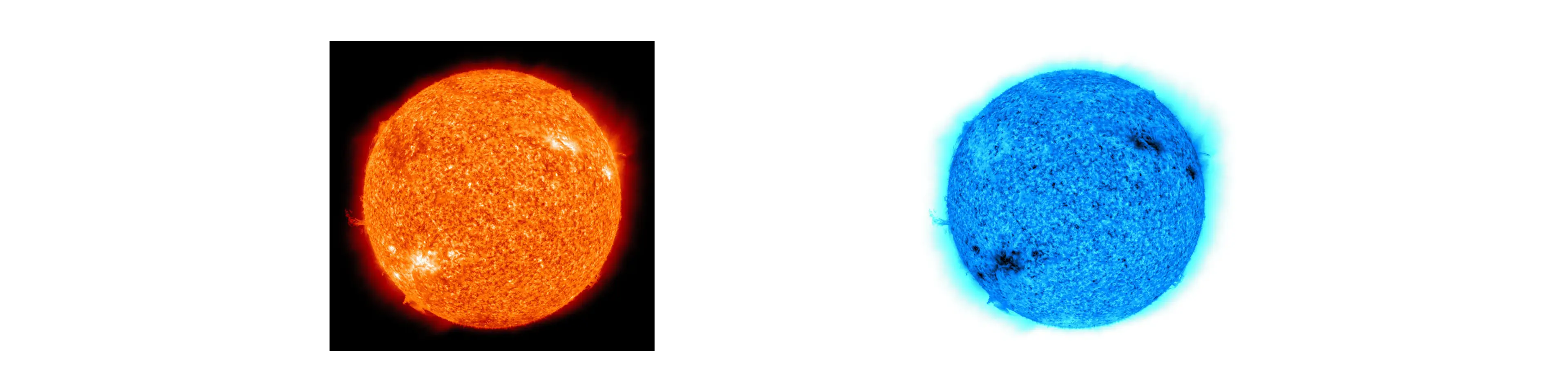 Negate Filter Example Image of Negate Filter Tool