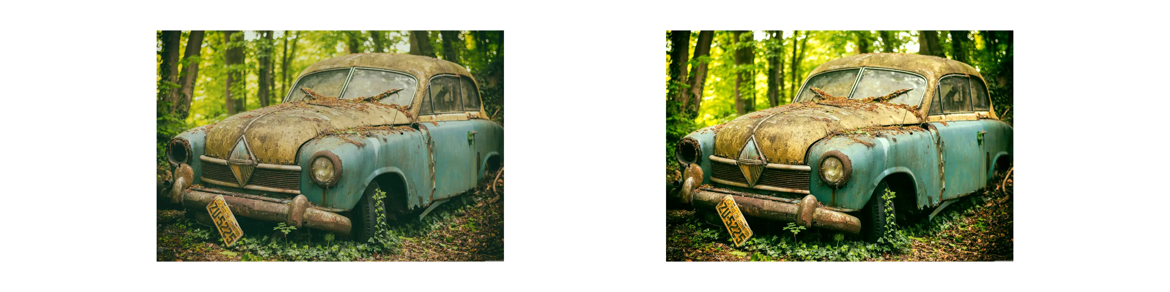 Normalize Filter Example Image of Normalize Filter Tool